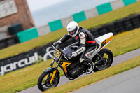 PJ-Motorsport-2019;anglesey-no-limits-trackday;anglesey-photographs;anglesey-trackday-photographs;enduro-digital-images;event-digital-images;eventdigitalimages;no-limits-trackdays;peter-wileman-photography;racing-digital-images;trac-mon;trackday-digital-images;trackday-photos;ty-croes